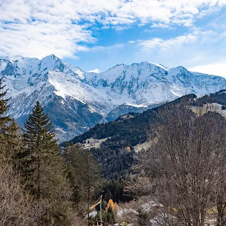 Vue Mont Blanc Apartment