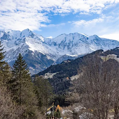Vue Mont Blanc * Saint-Gervais-les-Bains